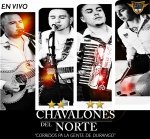 Corridos Pa La Gente de Durango (En Vivo)