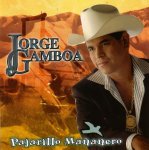 Pajarillo Mañanero