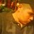 Cristopher