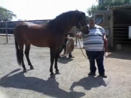 compa jalisco
