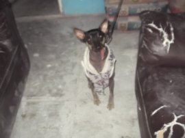 Barreras