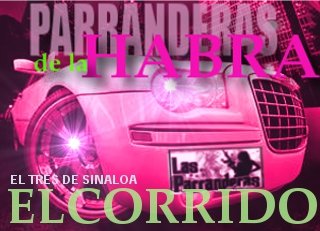 LAS MORRAS DE CALIDAD