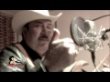 Los Gatos De Sinaloa - Corrido Del Chapulin - HD Promo Video y Entrevista